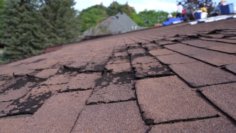 Steel Roofing in Dickinson, ND